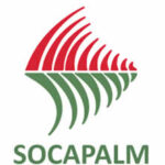 Socapalm